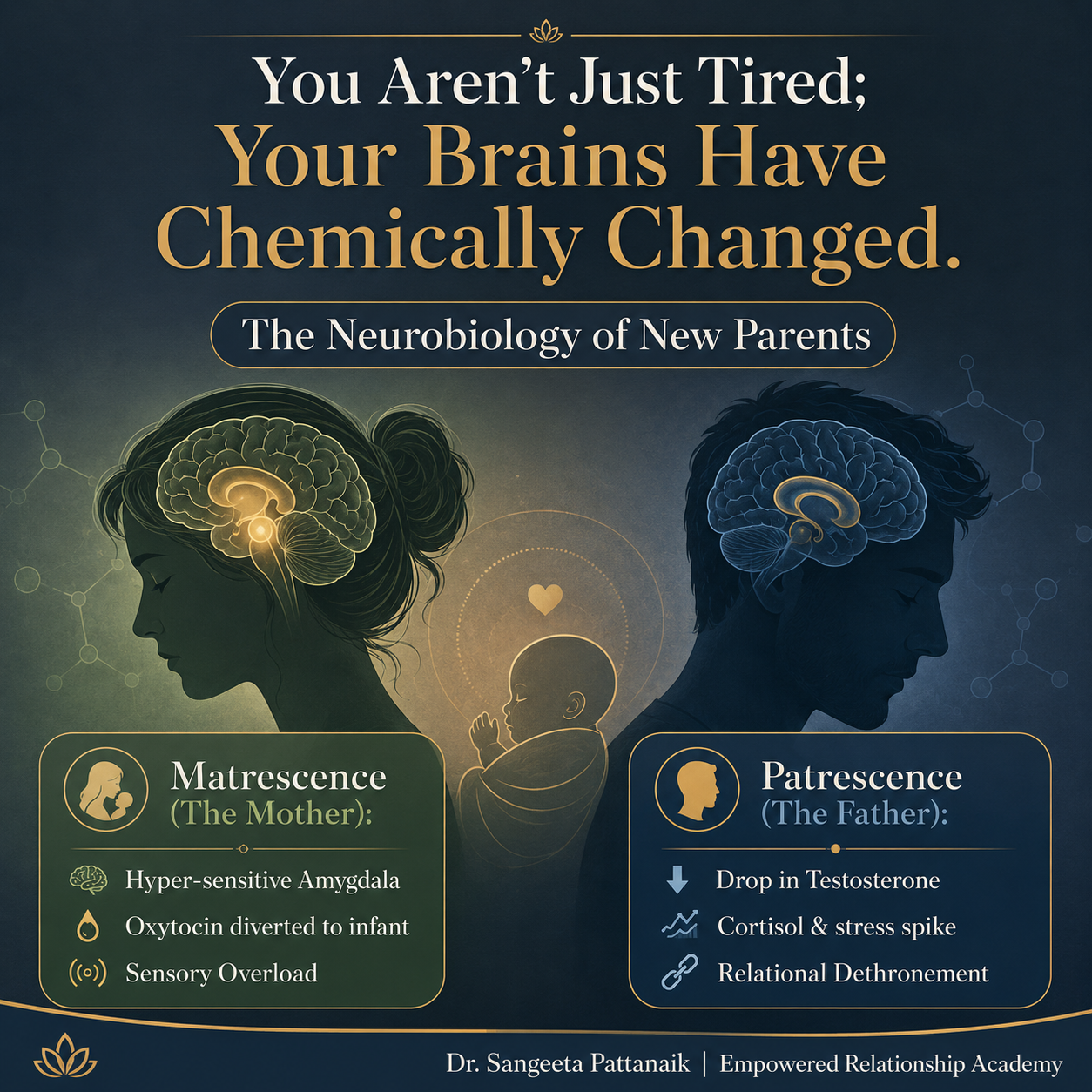 Understanding the neurobiological earthquake of matrescence and patrescence